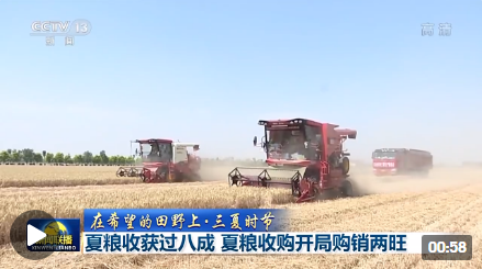 夏粮收购，质优价稳，购销两旺的生动图景