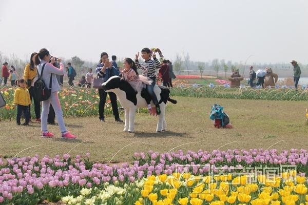 荷兰vs瑞典篮球直播视频，当郁金香遇上北欧海盗，这场对决你不得不看
