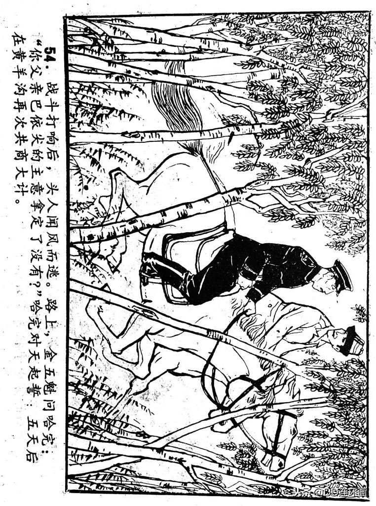 飞马vs骑士视频直播，一场普通球迷的深夜狂欢指南