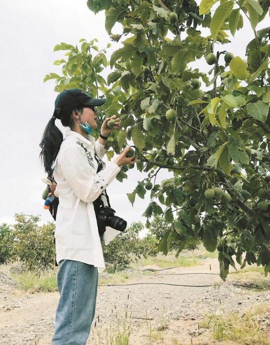 瓜仔直播vs视频下载，到底哪个才是真正适合你的选择？