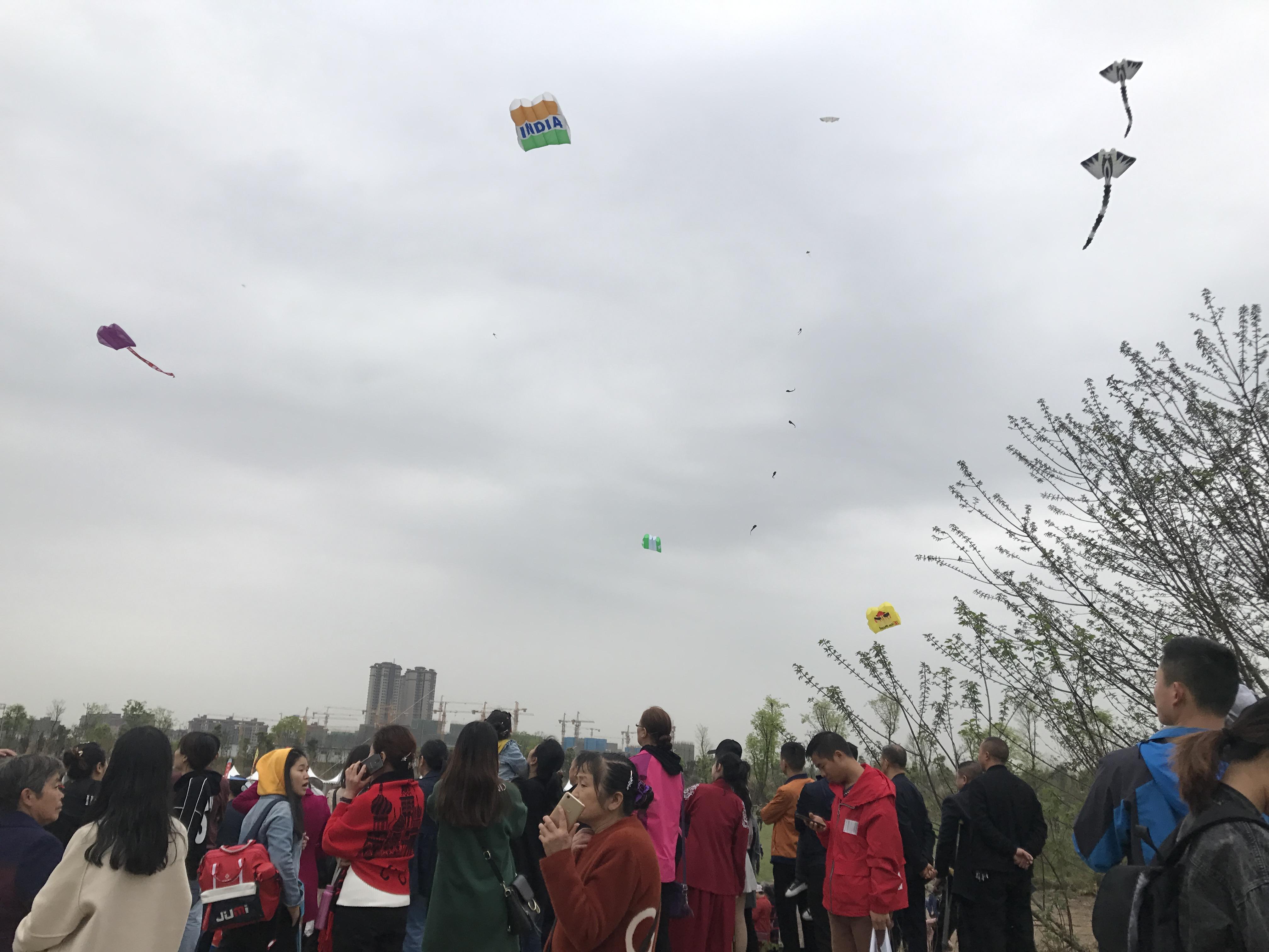 网红回应西藏文旅奖50万，捐赠48万