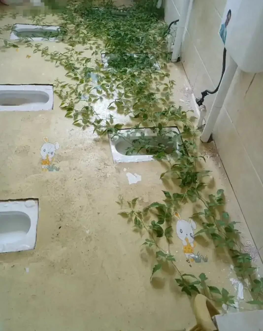 夏日里的甜蜜暴击，最爱发钱老板再显豪情，近300万红包雨与50吨西瓜的清凉盛宴