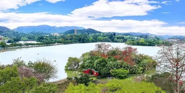 深圳vs惠州风景视频直播，谁才是你的云踏青首选？
