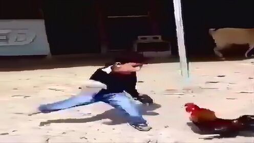斗鸡男生vs女生视频直播，一场性别对抗背后的真实逻辑